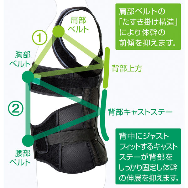 アルケア フィットキュア・スパイン LL 21111 1箱（1セット入