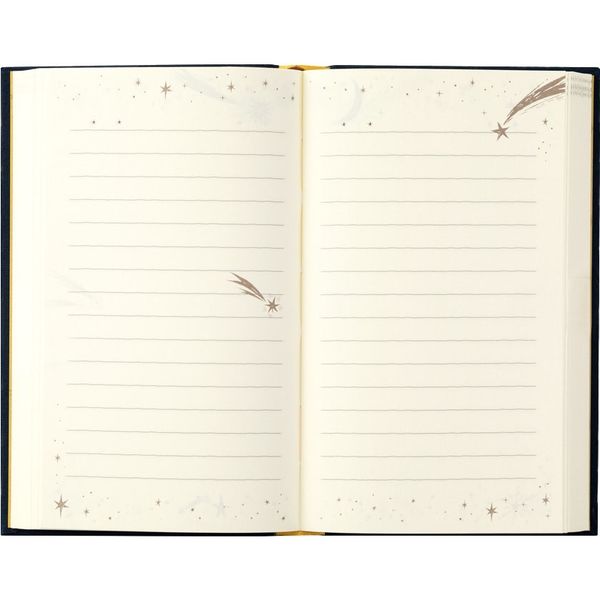 日記 1日1ページ 洋書サイズ 星柄 12880006 1冊 デザインフィル