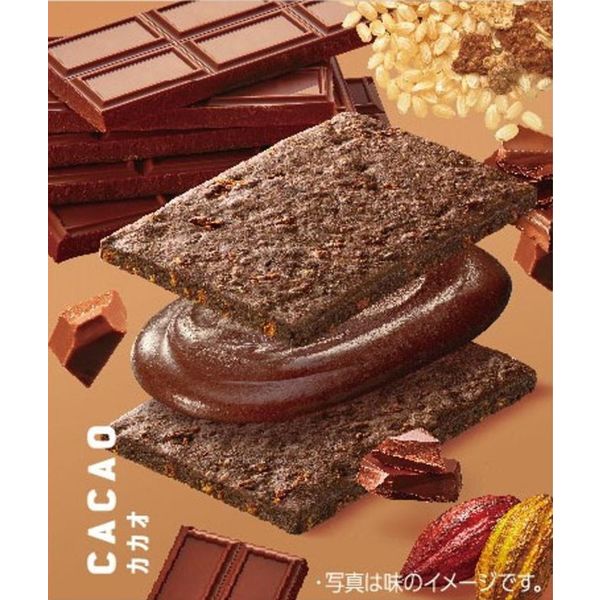 クリーム玄米ブラン カカオ 1セット（6個） アサヒグループ食品