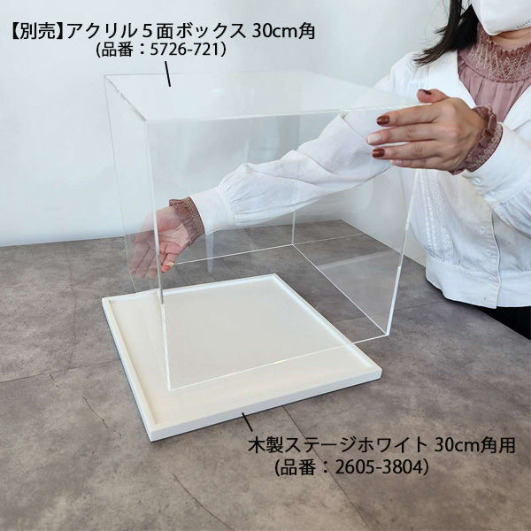 軒先渡し】ストア・エキスプレス 木製ステージ 30cm角用 ホワイト 2605