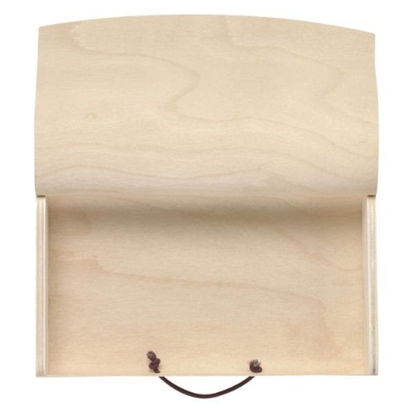 アサヒグリーン 木製容器 白樺ケース 5401 1ケース(100個)（直送品）