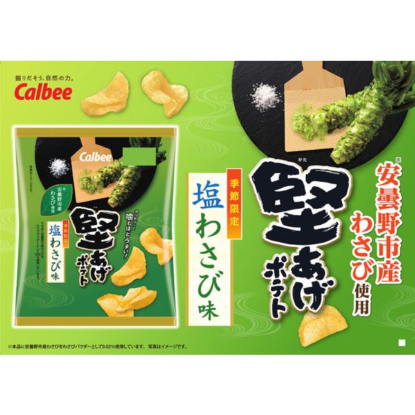 ポテトチップス 堅あげポテト 塩わさび味 60g 1セット（1袋×6