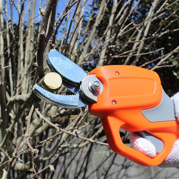 fencerさん専用出品 71u5MLPuqML._AC_UL210_SR210,