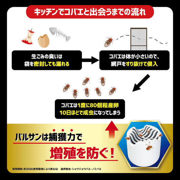 バルサンちゃん専用★2点 Amazon | 【第2類医薬品】バルサンプロEXノンスモーク霧タイプ12