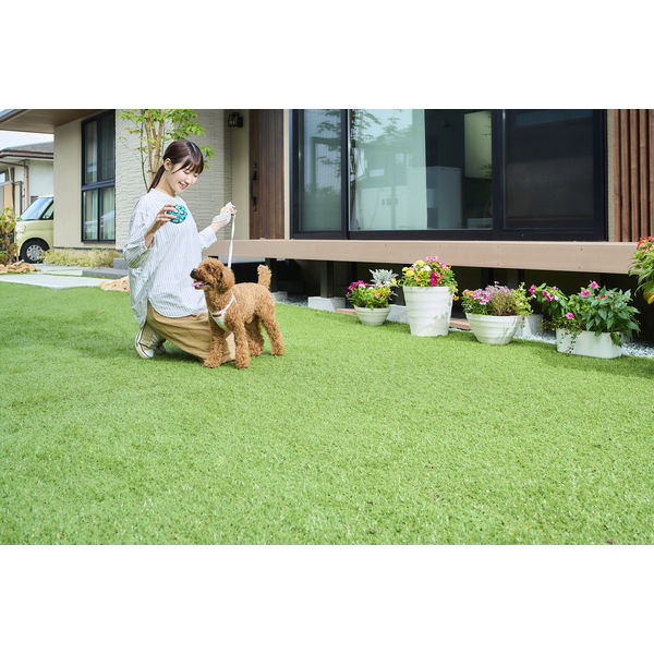 アイリスオーヤマ 防草人工芝 1m×20m BPー30120R 1枚 防草・防