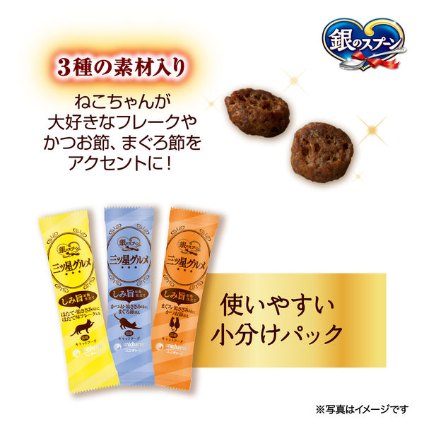 銀のスプーン 三ツ星グルメ しみ旨お魚仕立て 鶏ささみレシピ 3