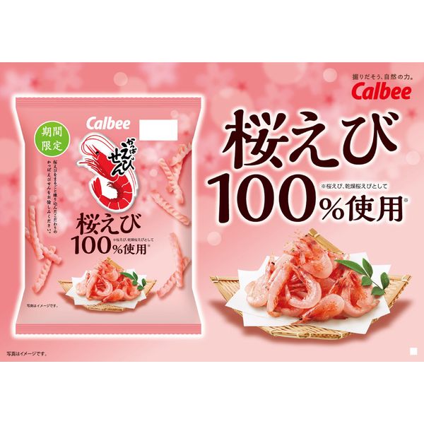 かっぱえびせん桜えび 50g 6袋 カルビー スナック菓子 おつまみ