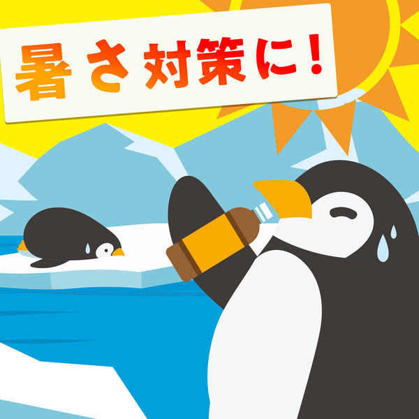 伊藤園 冷梅（冷凍兼用ボトル）500g ペットボトル 1セット（48本