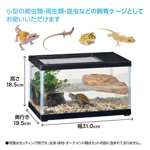 エキゾテラ レプテリア 爬虫類 ガラスケージ ツインビュー 300