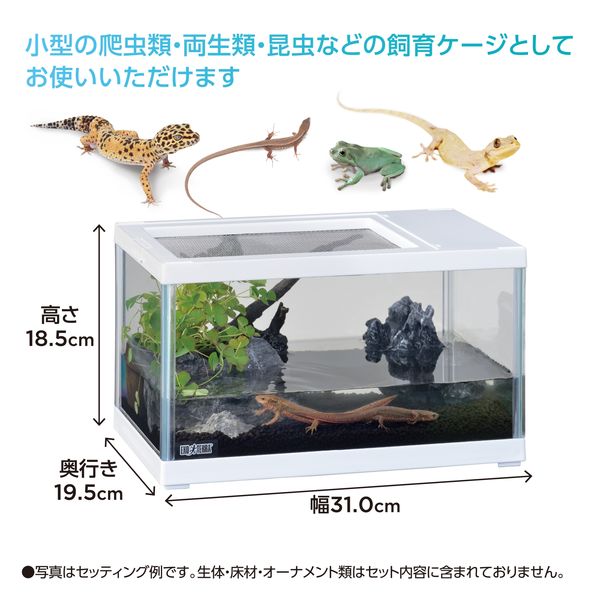爬虫類■両生類■ヘビ 蛇■ゲージ■エキゾテラ■EXO TERRA■白■50 30 爬虫類□両生類□ヘビ 蛇□ゲージ□エキゾテラ□EXO TERRA□白