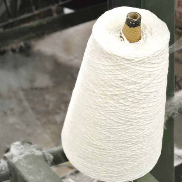 シャディ 肌にやさしい自然色のシルク混綿毛布(毛羽部分) 24-8360-958 1箱（直送品）