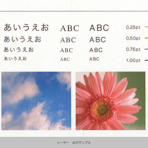 木の上のお花畑【額なし】直筆 手書き 一点物 竹尾 心づく紙 新オボナイ 草の花 A4 10枚入 1747181 1セット(1