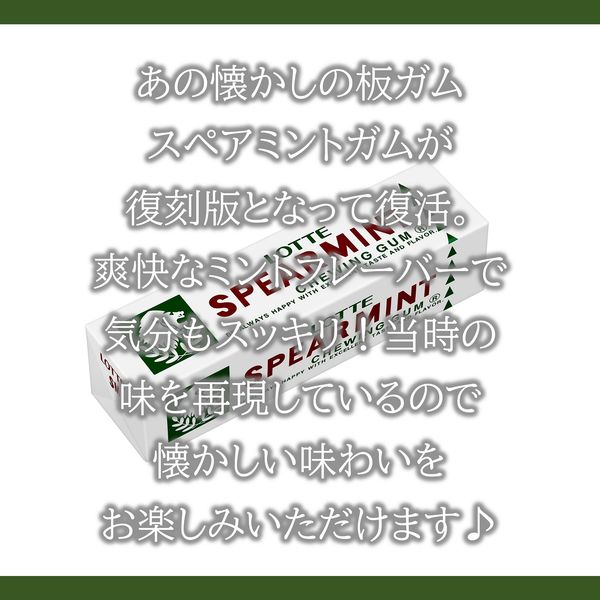 ロッテ スペアミントガム 9枚入 1セット（1個×15） 板ガム 個