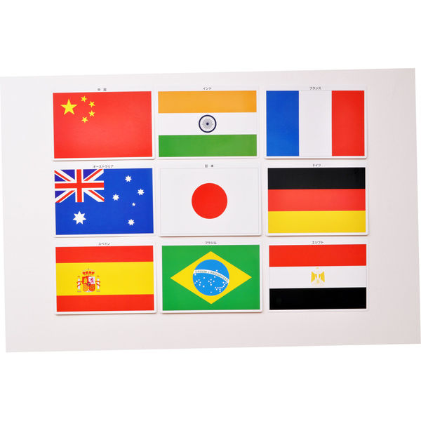 全教図 世界の国旗カード 入門版 1230010 1ヶ（直送品） - アスクル