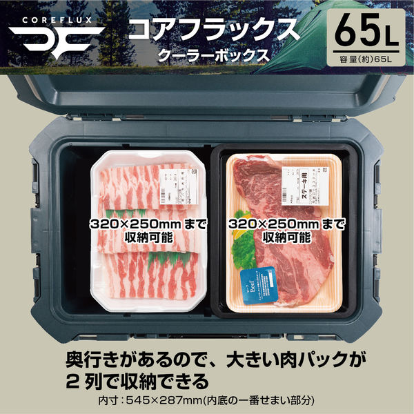 高級ブランド JEJアステージ COREFLUX 65L クーラーボックス コアフラックス チーク