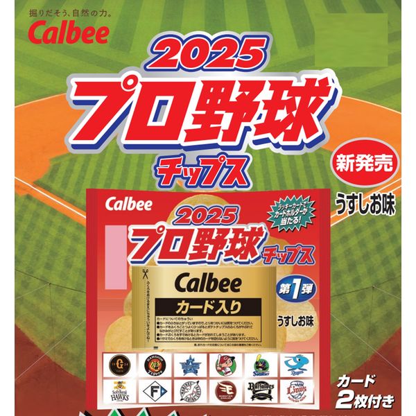 お菓子　大量非常食　激安　オロナミンc プロ野球チップス　フライドポテト スナック菓子 ポテトチップス 2025 プロ野球チップス 22g 1