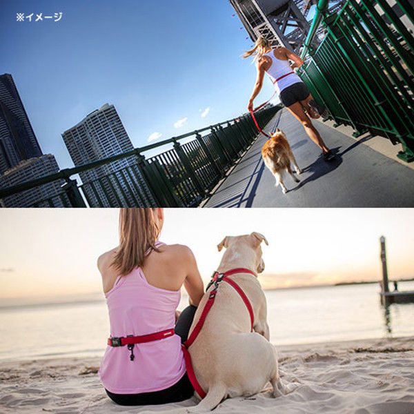 EZYDOG(イージードッグ) 正規代理店品 ロードランナー ブルー 中・大型犬用 200cm | EZYDOG(イージードッグ) [正規代理店品] ロードランナー