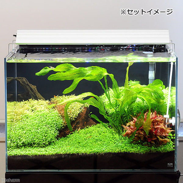 ➁アクロ TRIANGLE LED GROW 1200 6000lm - 魚用品/水草