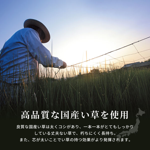 萩原 国産い草センターラグ(裏貼り) 右京(うきょう) ベージュ 萩原 国産い草センターラグ(裏貼り) 右京(うきょう) ベージュ