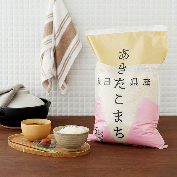 秋田県産 あきたこまち 5kg 1袋 精白米 令和6年産 米 お米