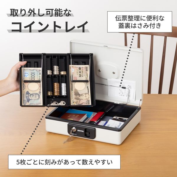 マスターロック・セントリー日本 SCBシリーズ 手提げ金庫 キャッシュ