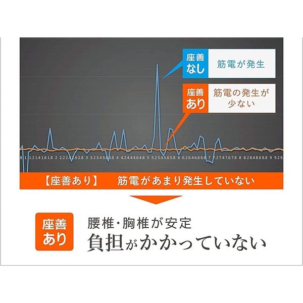 エスビーリビング カラダファクトリー 腰椎サポートクッション 座善