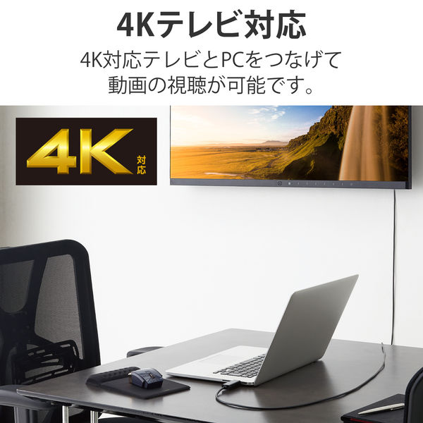 Type-C映像変換ケーブル HDMI 4K/2K対応 映像出力 RoHS ブラック