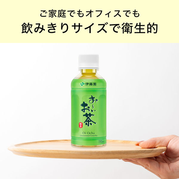 伊藤園 おーいお茶 緑茶 195ml ホット＆コールド 195ml 1セット