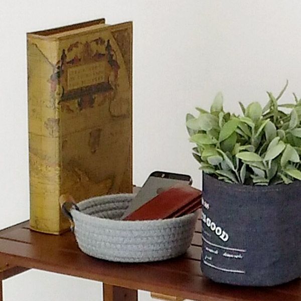 元箱・皮ケース付き ローライフード BAY 2