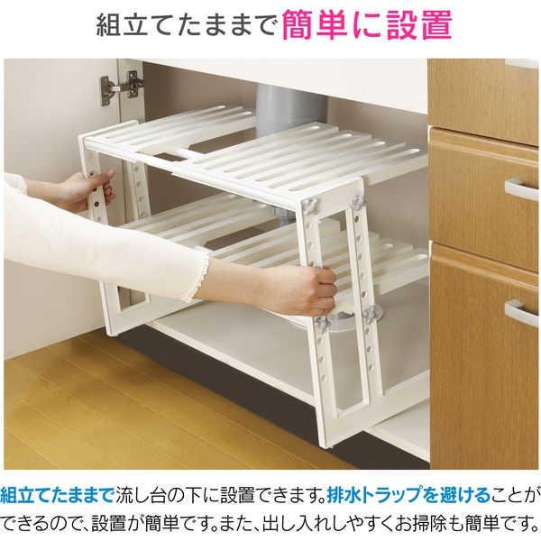 ビオドラガ リバイタライジングカプセル 48個入り　2個セット ビオドラガ リバイタライジングカプセル 48個入り 2個セット