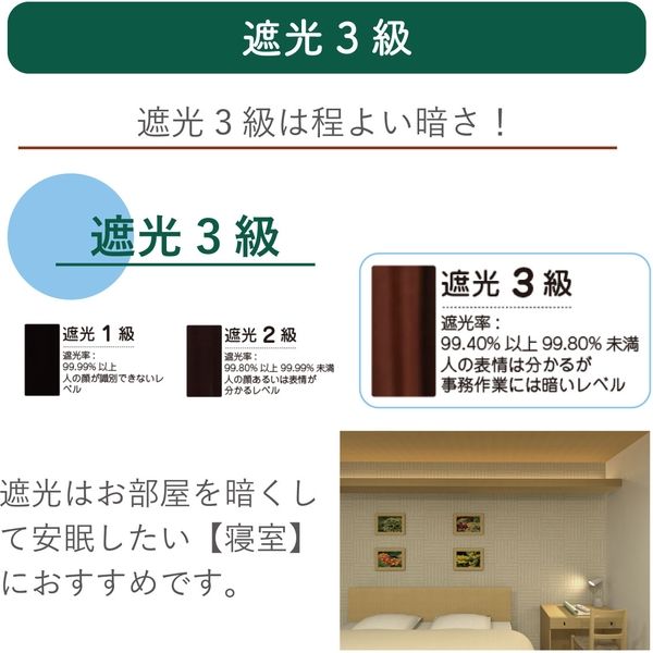 ご確認用の2点です 立川機工 ティオリオ ロールスクリーン 遮光2級防炎 180×180