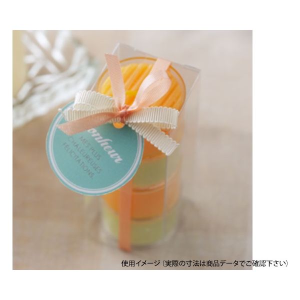 ラッピング用品 ピュアケース P10-1 大森 | テイクアウト容器の通販