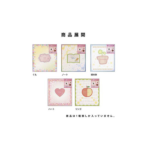 【正規品質保証】 ポケット付き色紙 リンゴ エヒメ紙工（直送品 10枚 シ-0002 その他