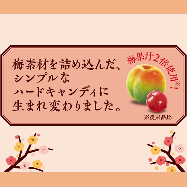 ロッテ 小梅 60g 17242 1セット（3袋） - アスクル