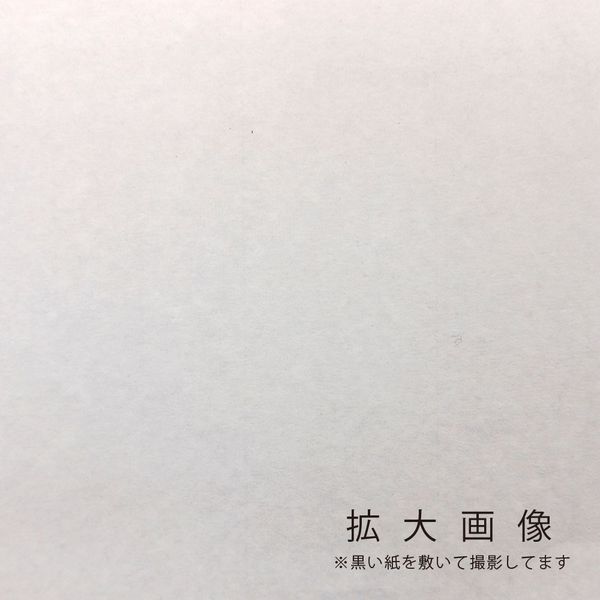 大高製紙 富士天龍 高級書道半紙(特厚口) 黒 1000枚 HAN-FT85-1000P 6 