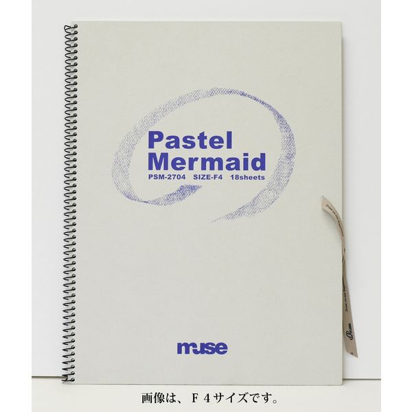 ミューズ パステルマーメイドブック PSM2710 F10 1セット（3冊