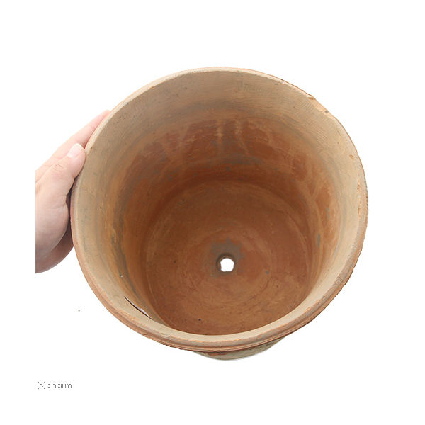 リーフ アンティークポット 直径25×23cm 赤 モスポット