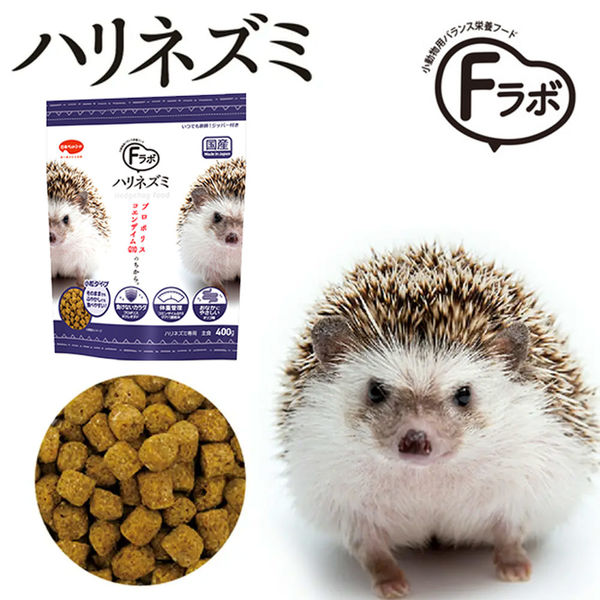 ハリネズミ等小動物　飼育セット16✖️26cm