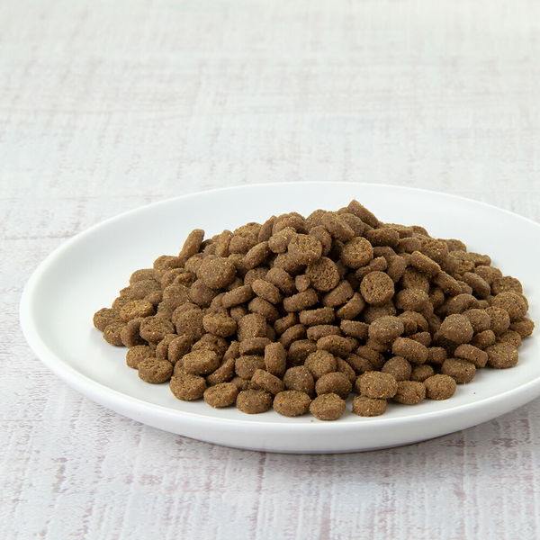 エヌ・シー フェレットフード ジャパンプレミアム 350g×3袋