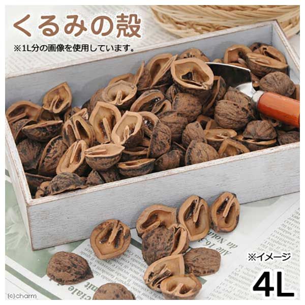 天然くるみの殻　20キロ　送料込み　ガーデニングに　敷き砂利として 新 モデルフラワー・ガーデニング - 天然くるみの殻 20キロ 送料