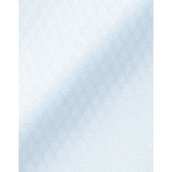 申込期間25年08月01日13時まで_ボンマックス 長袖ブラウス　ブルー　ＲＢ４１７０　１７号_取寄商品 ボンマックス BONOFFICE 長袖ブラウス ブルー 17号 RB4170-6