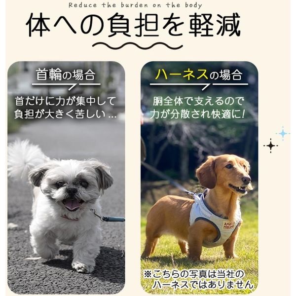 ベスト・アンサー ハーネス&リードセット 胴輪 首輪 小型犬 中型犬 ブルー pet-075-bl-s 1セット（直送品） - アスクル