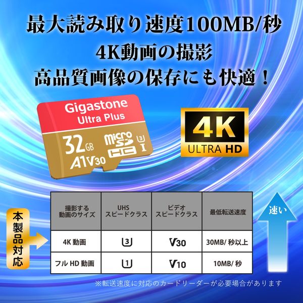 Nintendo Switch確認済マイクロSDカード 256GB 2枚セット Gigastone