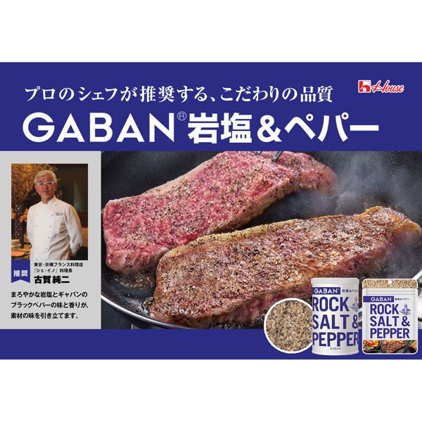GABAN岩塩&ペパー袋入り 20g 3個 ハウス食品 塩コショー GABAN岩塩&ペパー袋入り 20g 3個 ハウス食品 塩コショー