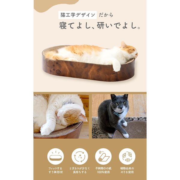 逃猫舎 栗原あり 北風と太陽 ボウル 逃猫舎 栗原あり 北風と太陽 ボウル - メルカリ
