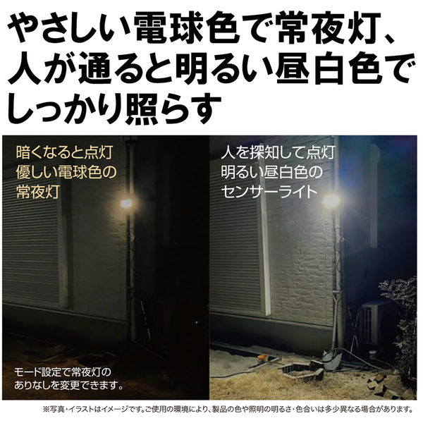 大進 人感 センサー 防雨型 屋外用 LED センサーライト 常夜灯機能付き 夜間自動点灯 照明 防犯ライト 玄関 DLA-12T100  1台（直送品） アスクル