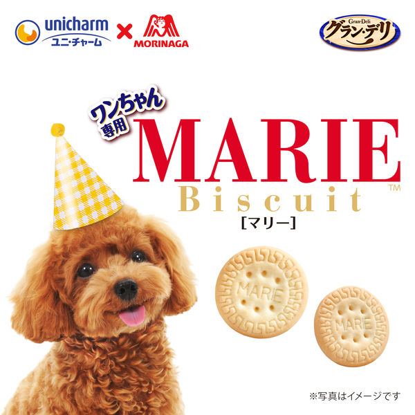 グランデリ ワンちゃん専用 マリービスケット バナナミルク味 国産 50g 3袋 ユニ・チャーム 犬用 おやつ