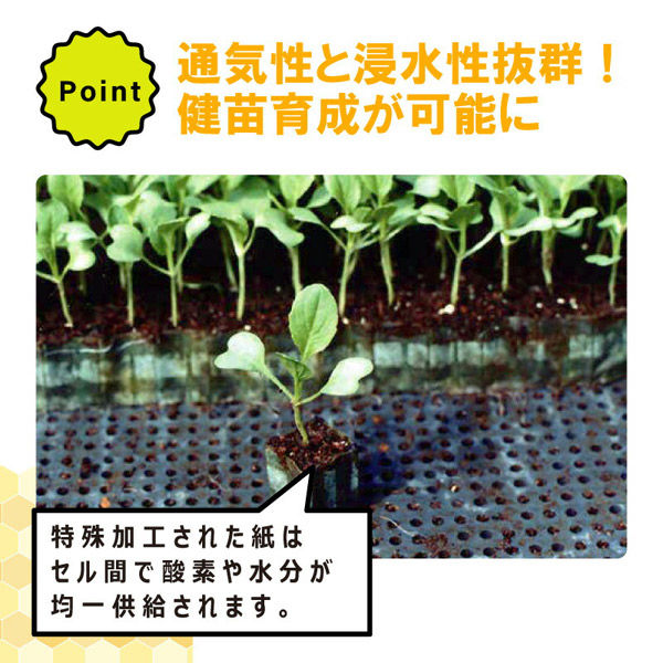 日本甜菜製糖 ペーパーポット No.13 1冊（直送品） - アスクル