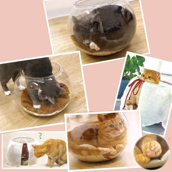 にゃんこの金魚鉢 猫用 1個 ドギーマン - アスクル にゃんこの金魚鉢 猫用 1個 ドギーマン - アスクル