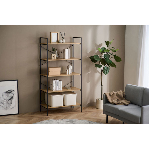 アイリスオーヤマ ベーシックラック ナチュラル BRC-8016 1台（直送品